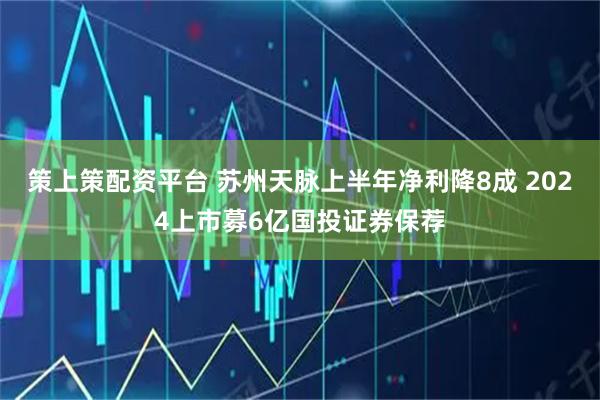 策上策配资平台 苏州天脉上半年净利降8成 2024上市募6亿国投证券保荐